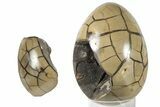 8.3" Septarian "Dragon Egg" Geode - Removable Section - #203813-3